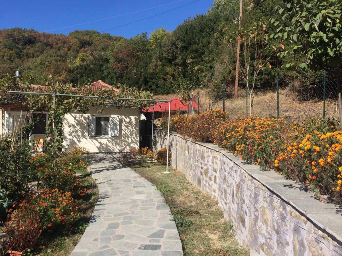 Guesthouse "Athina" Elliniko  Dış mekan fotoğraf